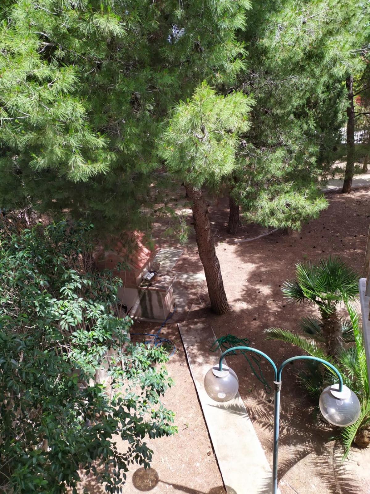 Terra Bianca Bed & Breakfast Trani Cameră foto